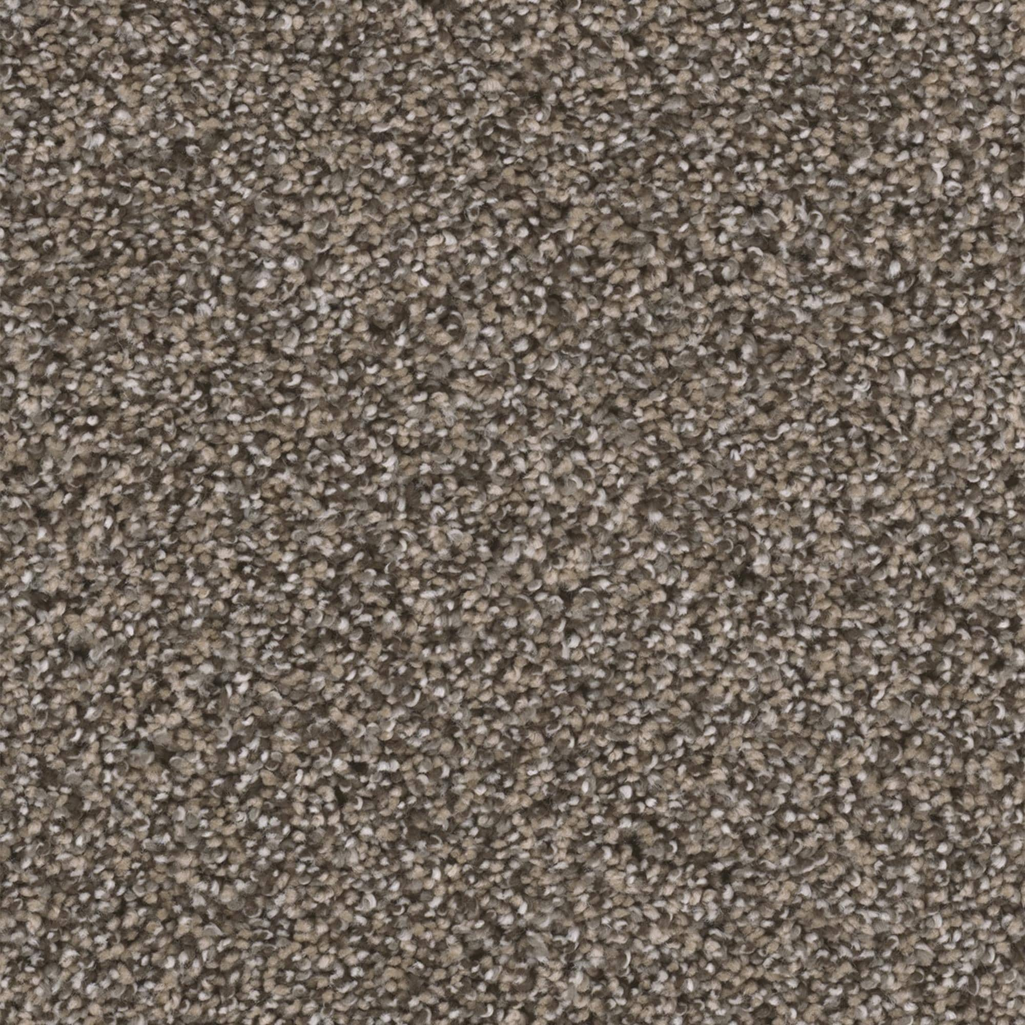 Dream Weaver Reflections III Carpet in Smokey Taupe | NFM