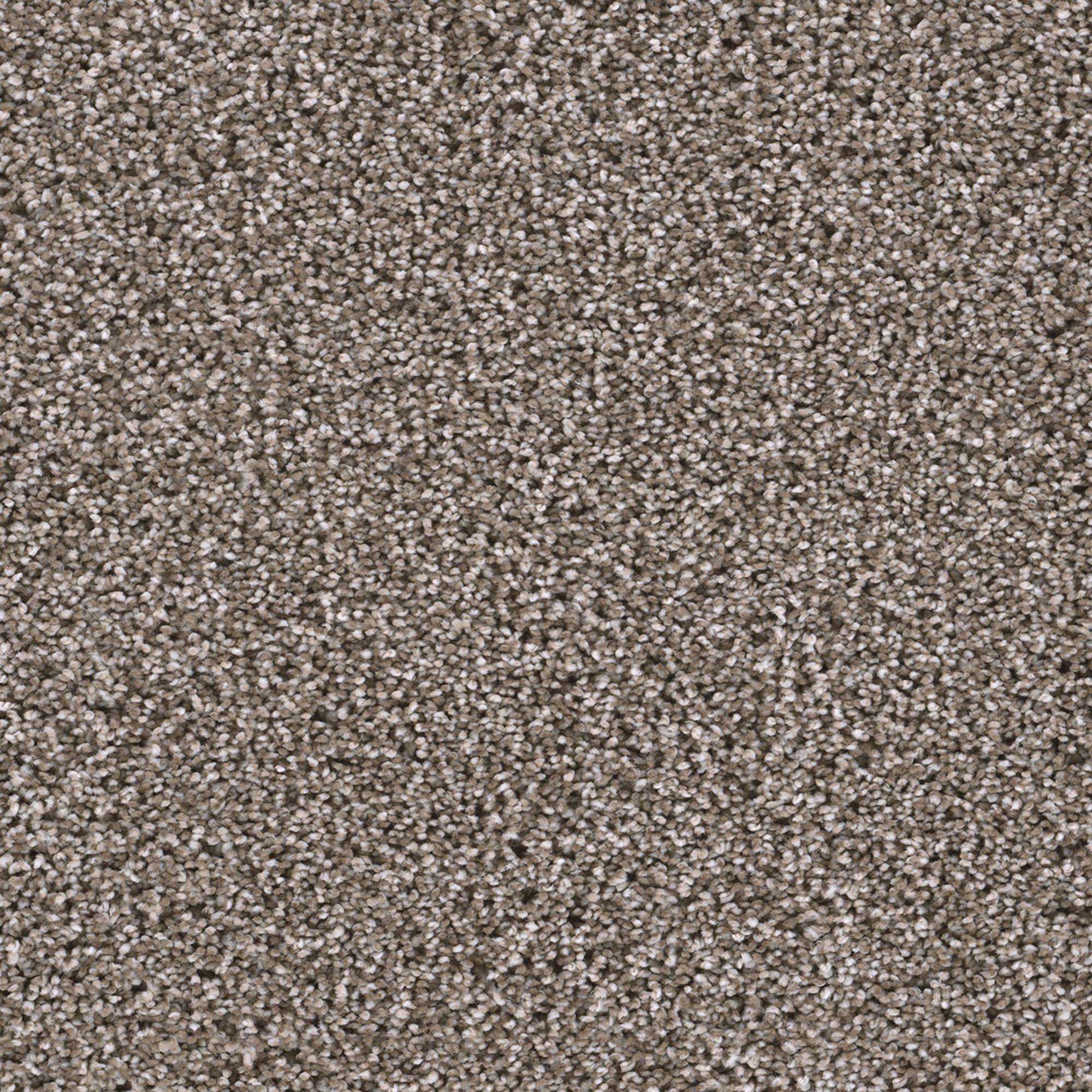 Dream Weaver Trendsetter II Carpet in Soft Tan