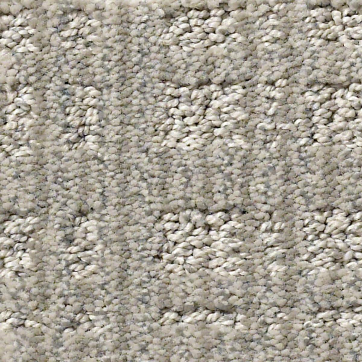 Anderson Tuftex Purrsuasion Carpet in Cement | NFM