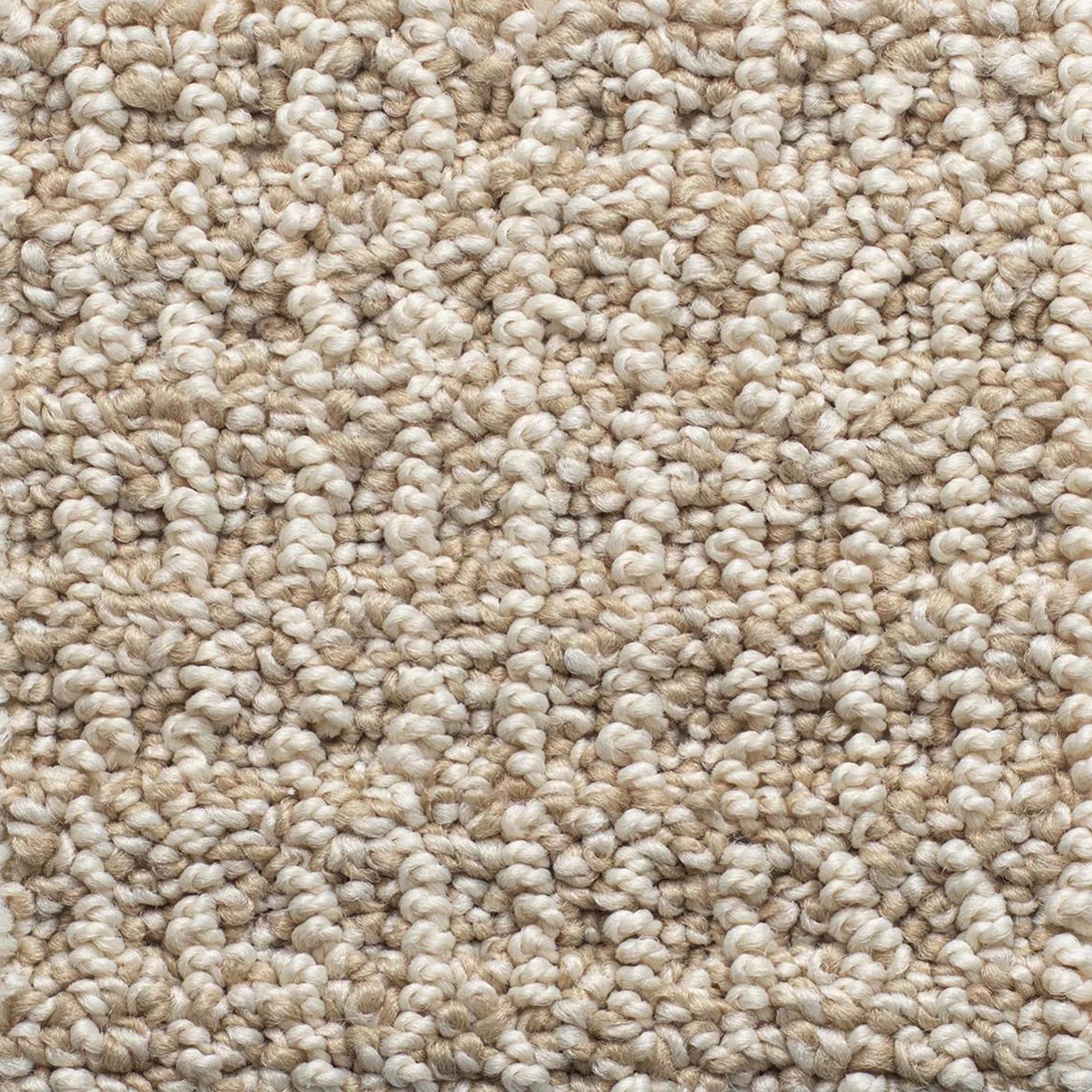 Anderson Tuftex Crystal Cove Carpet in High Noon | NFM