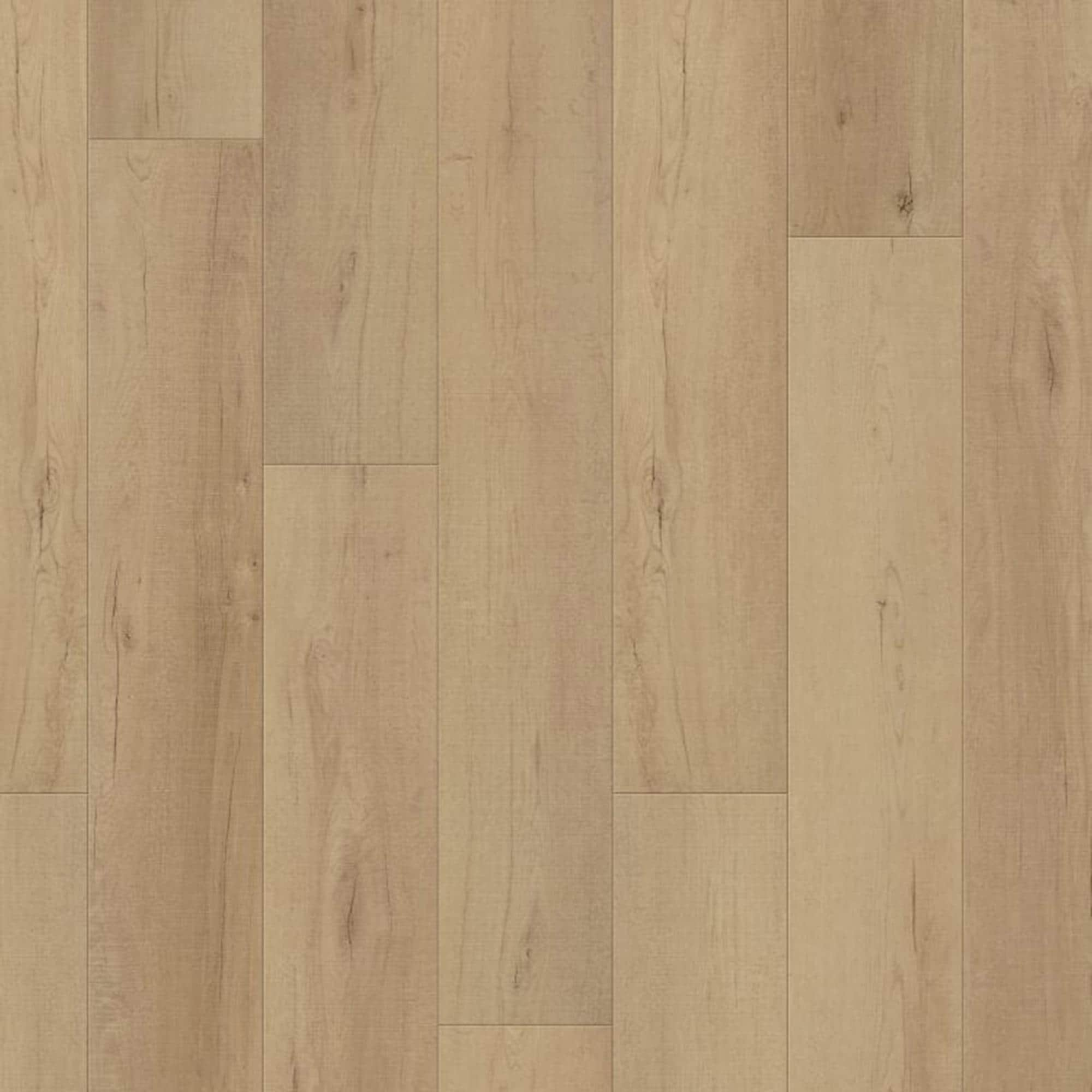 COREtec Plus Enhanced Calypso Oak 7 X 48 Vinyl Plank NFM   3239771 1 