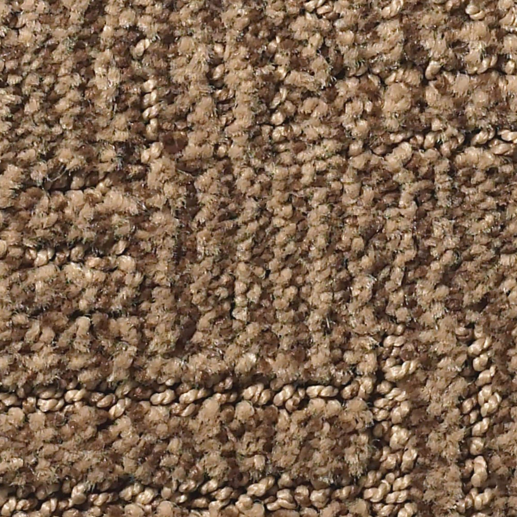 Anderson Tuftex Loredo Carpet in Desert Beach | NFM