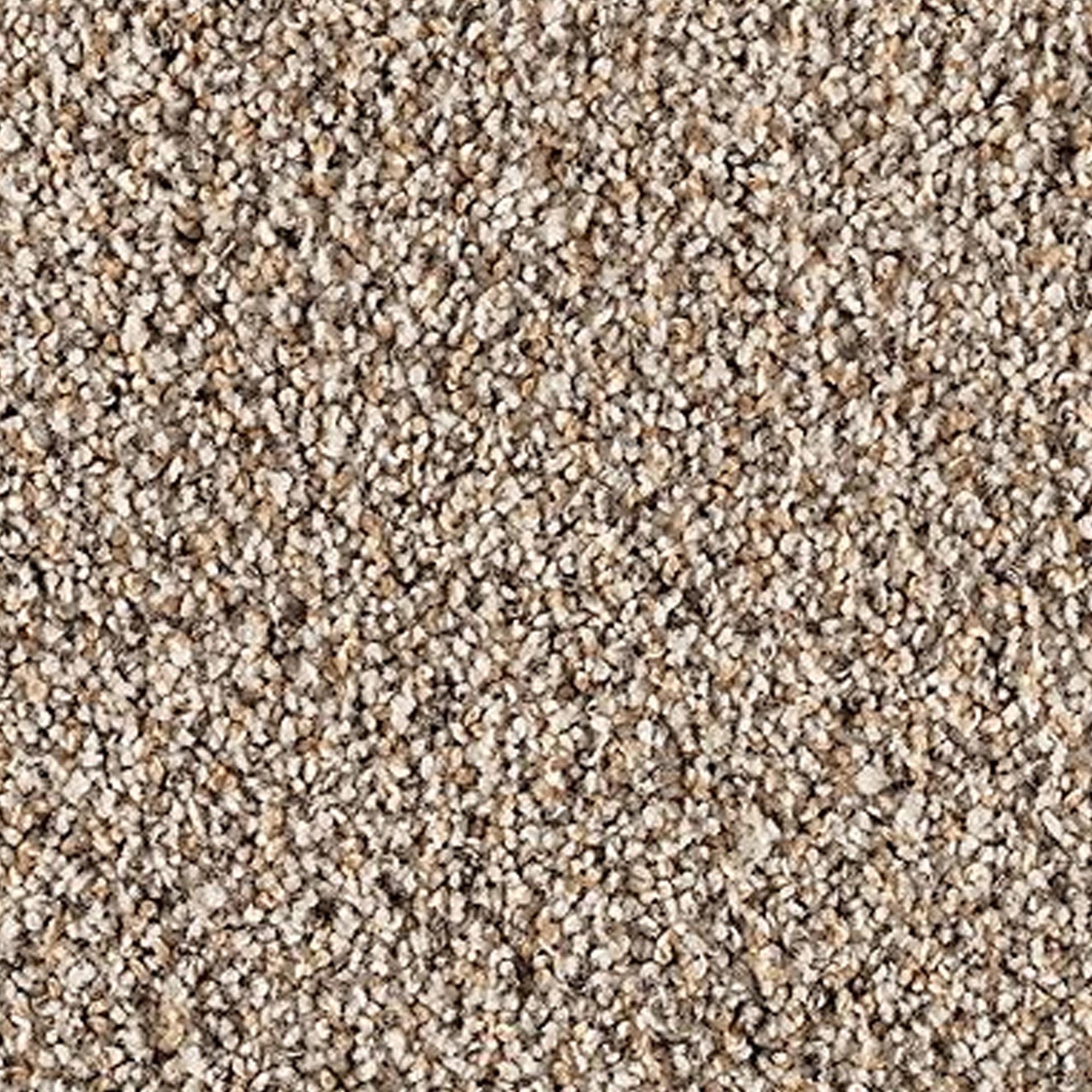 Mohawk SmartStrand Silk Luxuriant Surface Carpet in Scroll | NFM