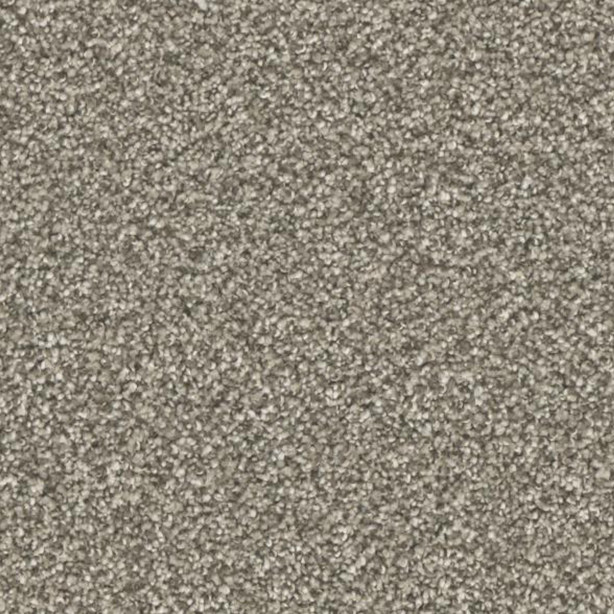 Phenix Carpet Five Star Carpet in Superb | NFM