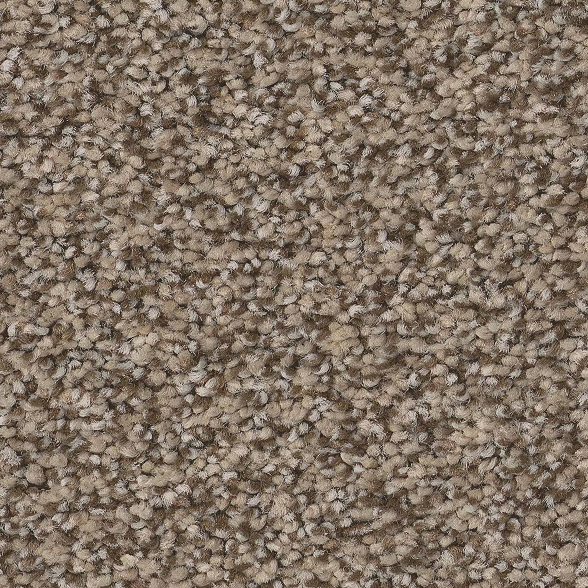 Anderson Tuftex Somerset Carpet in Chic Taupe | Shop NFM