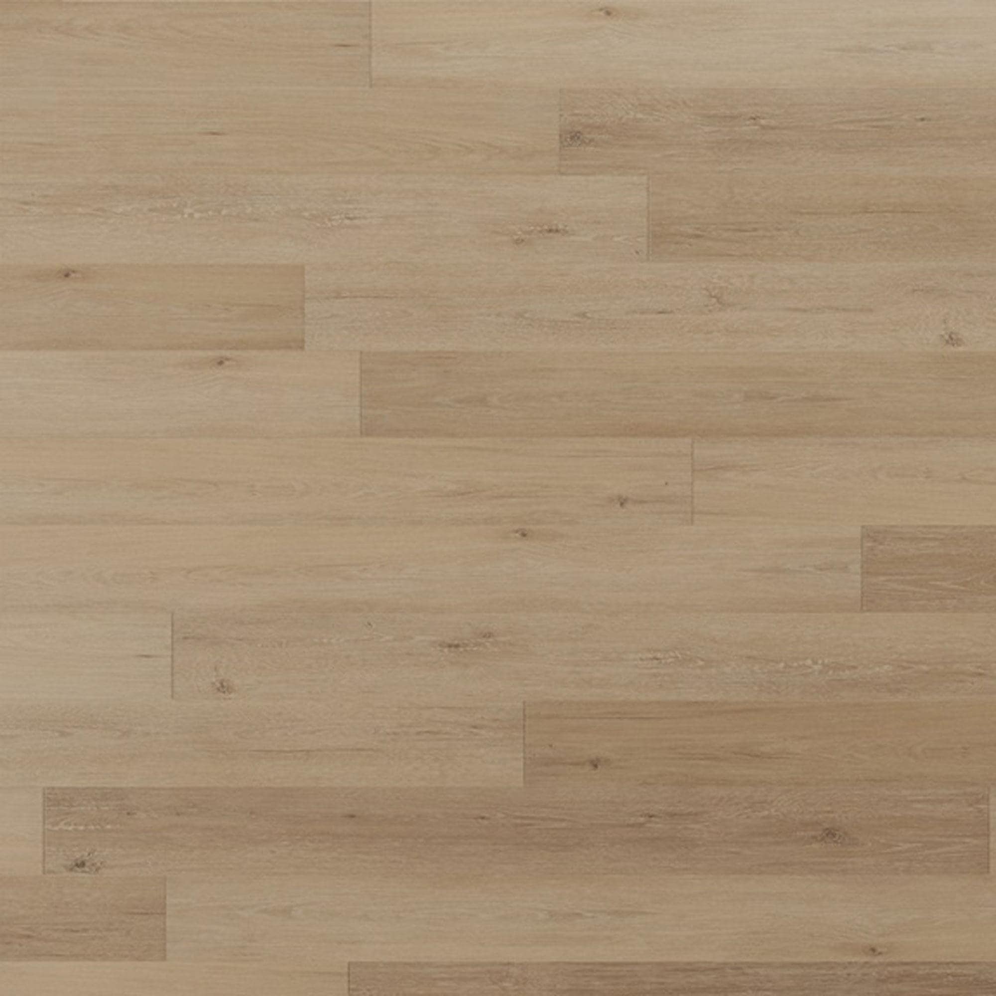 Mannington Rigid Regency Oak Polished Platinum 7