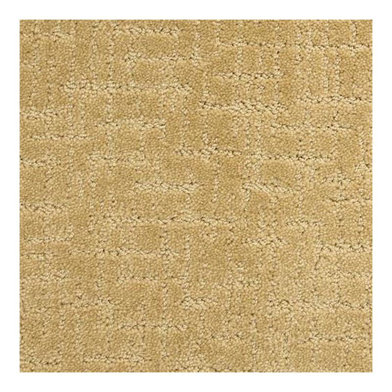 Dixie Home Astonishing Carpet in Special | Nebraska Furniture Mart