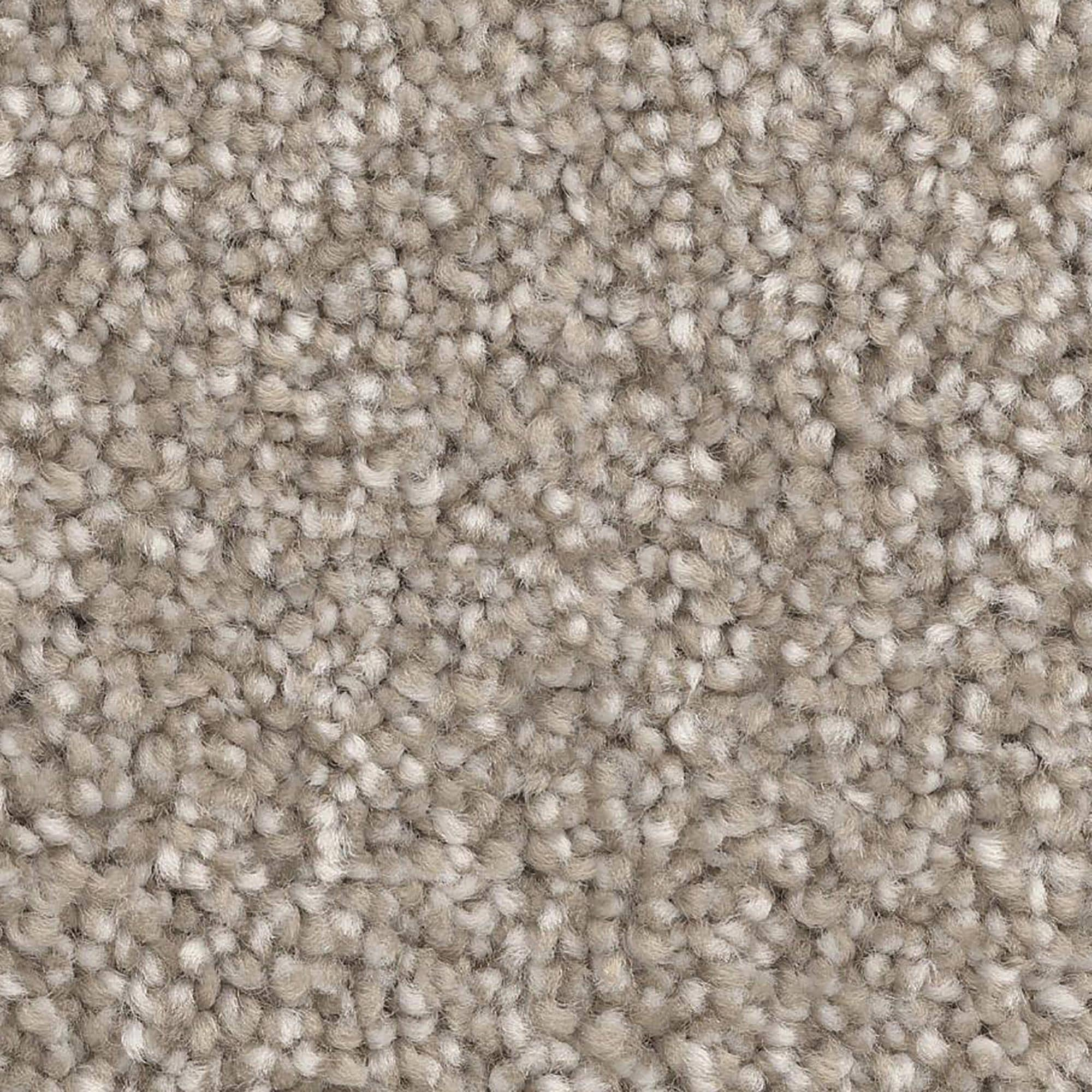 Dixie Home Dx835 Carpet in Wheat | NFM